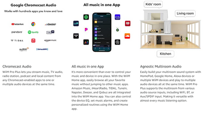 WiiM pro plus AirPlay2 Receiver, Chromecast Audio, WiFi Multiroom Streamer, Alexa, Siri,Google Assistant,Spotify, AmMusic