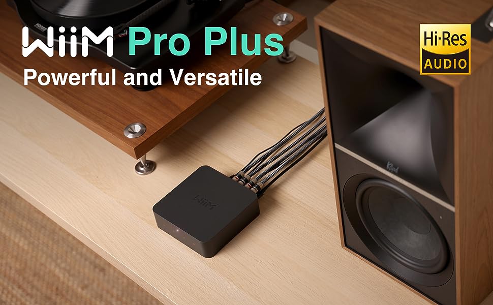 WiiM pro plus AirPlay2 Receiver, Chromecast Audio, WiFi Multiroom