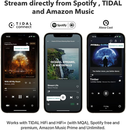 WiiM pro plus AirPlay2 Receiver, Chromecast Audio, WiFi Multiroom Streamer, Alexa, Siri,Google Assistant,Spotify, AmMusic